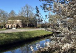 Evangelische Genade Gemeente Evangelische Genade Gemeente